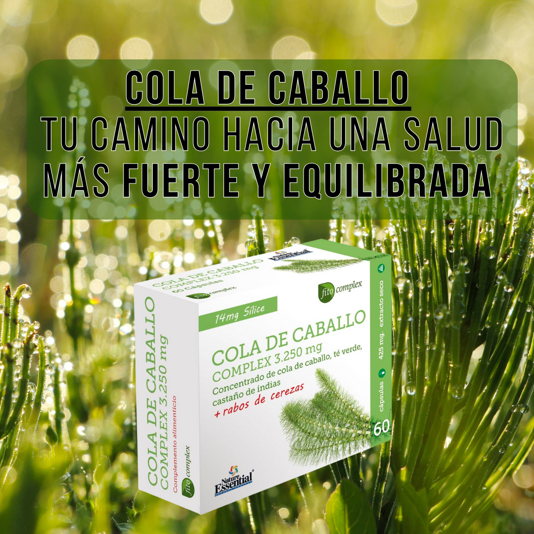 Suplemento de Cola de Caballo Tu Aliado para el Cuidado de la Piel Cabello y Uñas - 60 Cápsulas