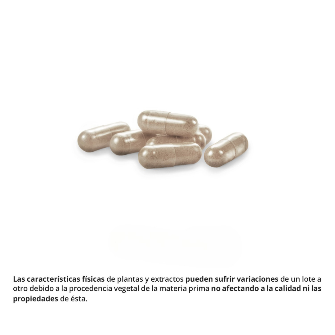 Própolis con equinácea y vitamina C para defensas naturales 60 cápsulas