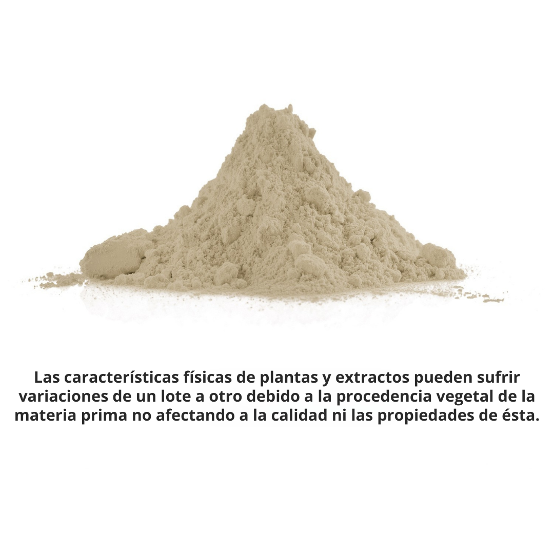 Suplemento de Moringa para el Refuerzo de tu Sistema Inmune - 60 Cápsulas vegetales