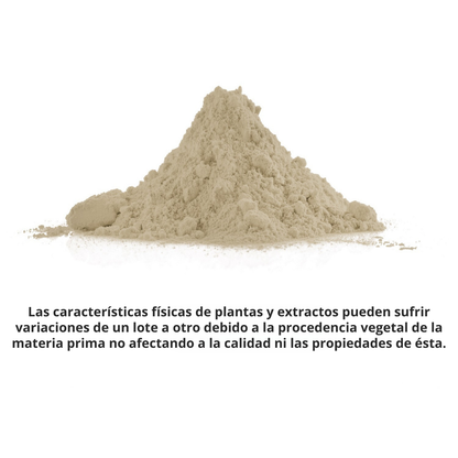 Suplemento de Moringa para el Refuerzo de tu Sistema Inmune - 60 Cápsulas vegetales