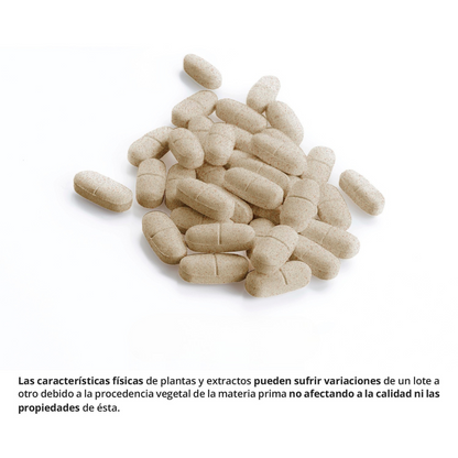 AdelgaPower Complex - Complemento para adelgazar con efecto quemagrasa 60 Cápsulas