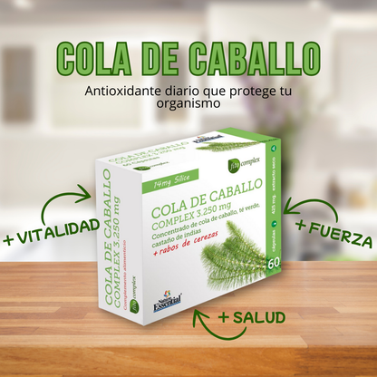 Suplemento de Cola de Caballo Tu Aliado para el Cuidado de la Piel Cabello y Uñas - 60 Cápsulas