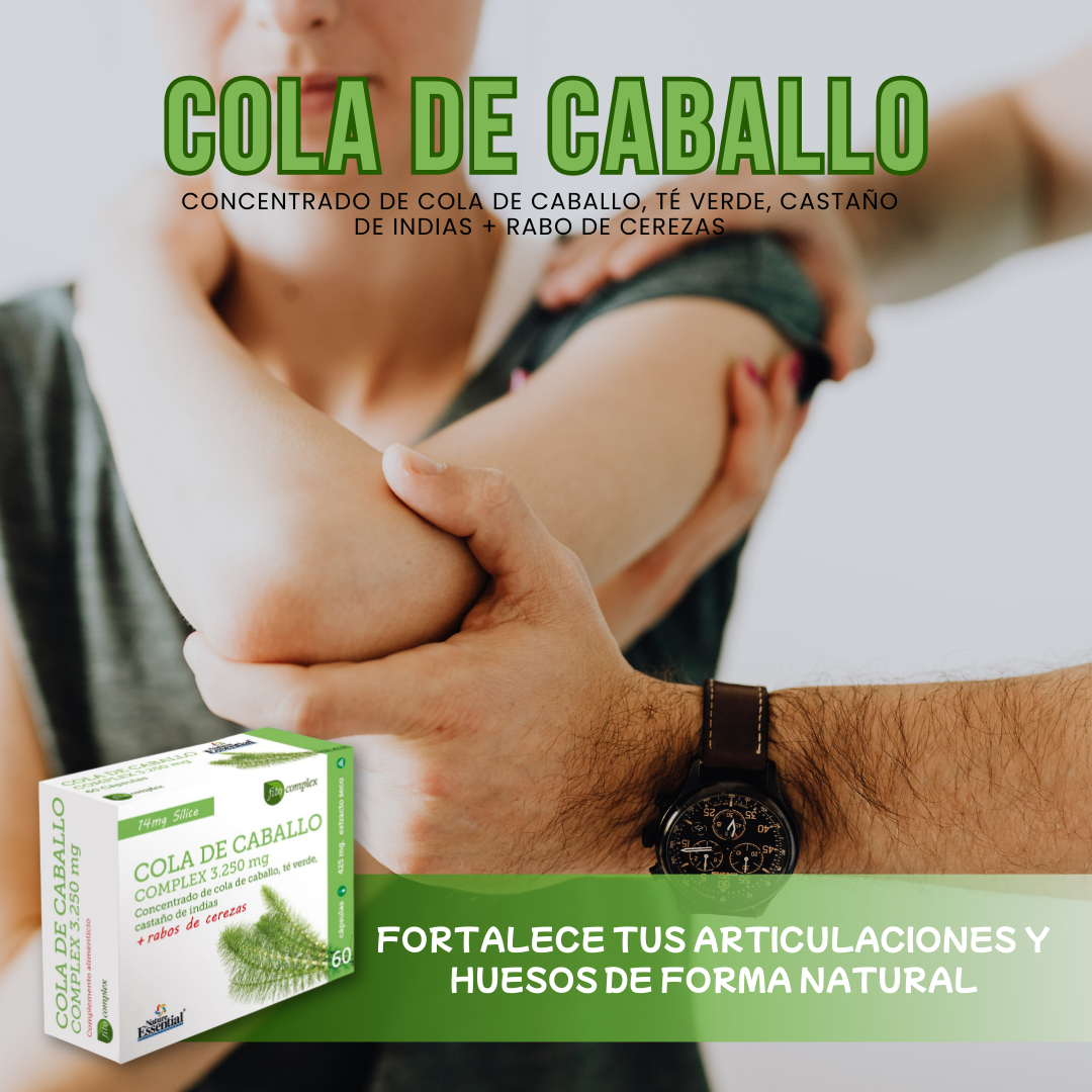 Suplemento de Cola de Caballo Tu Aliado para el Cuidado de la Piel Cabello y Uñas - 60 Cápsulas