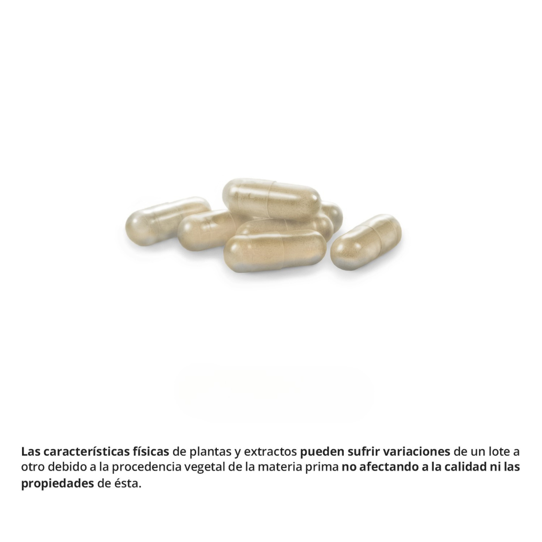Suplemento de Valeriana, para promover un descanso natural (complex) 2740 mg – 60 cápsulas