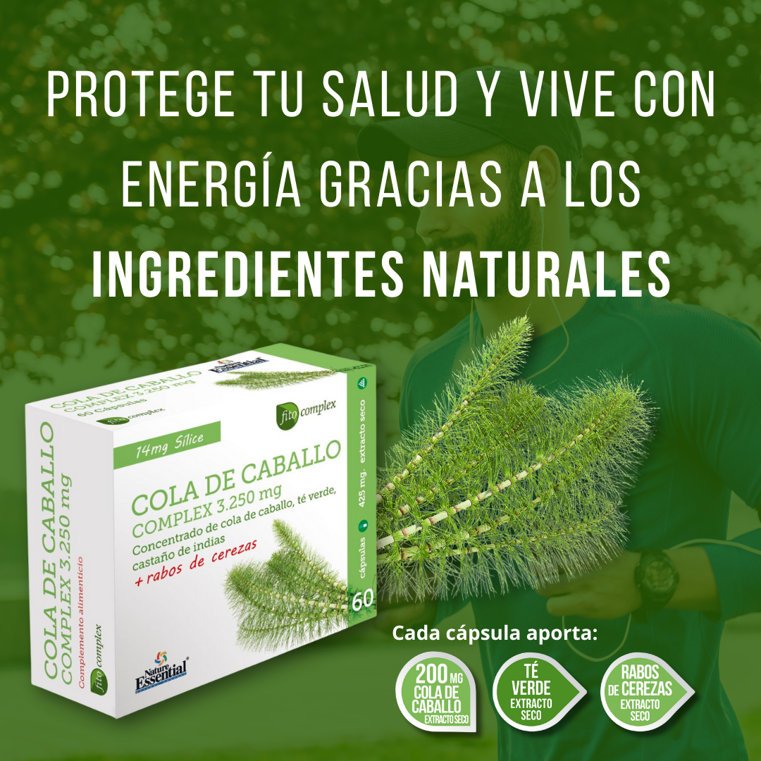 Suplemento de Cola de Caballo Tu Aliado para el Cuidado de la Piel Cabello y Uñas - 60 Cápsulas