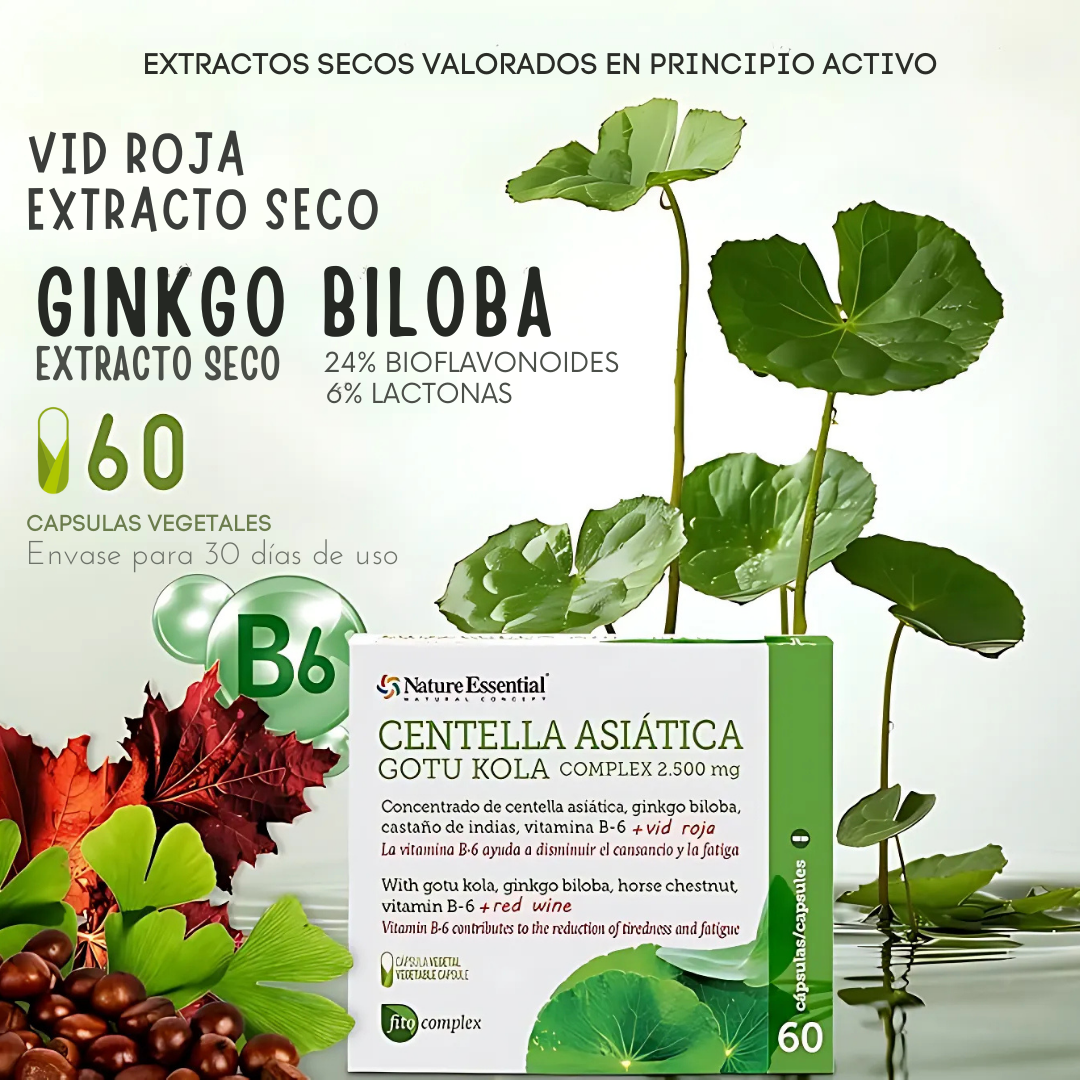 Suplemento de Centella Asiática Tu Apoyo para la Circulación y el Bienestar - 60 Cápsulas