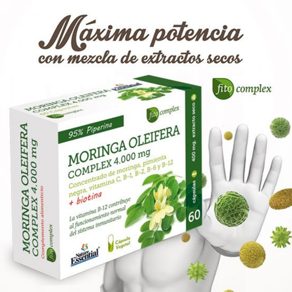 Suplemento de Moringa para el Refuerzo de tu Sistema Inmune - 60 Cápsulas vegetales
