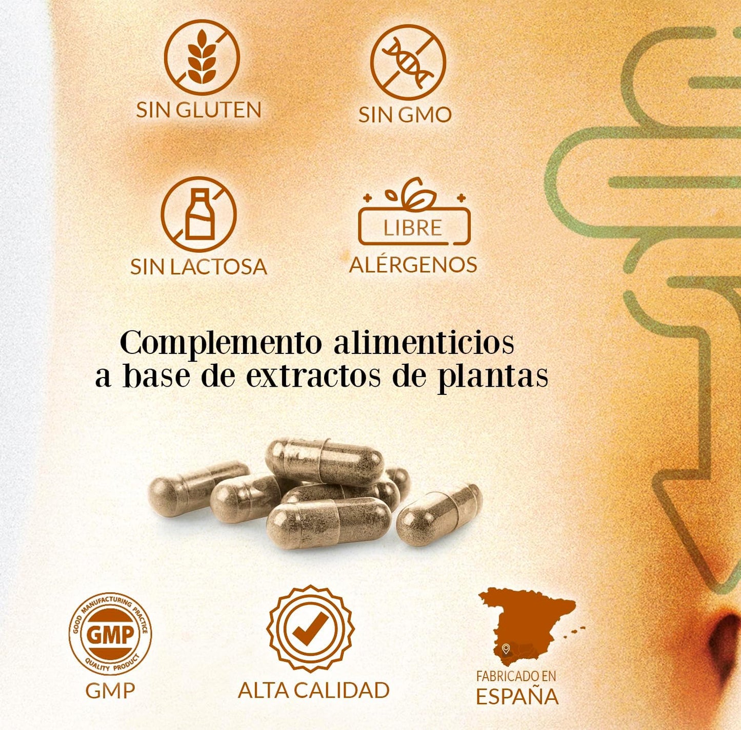 Evacuaplus Complex 30 Cápsulas – Alivio Natural para tu Bienestar Digestivo