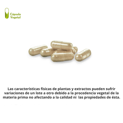 Suplemento de Moringa para el Refuerzo de tu Sistema Inmune - 60 Cápsulas vegetales